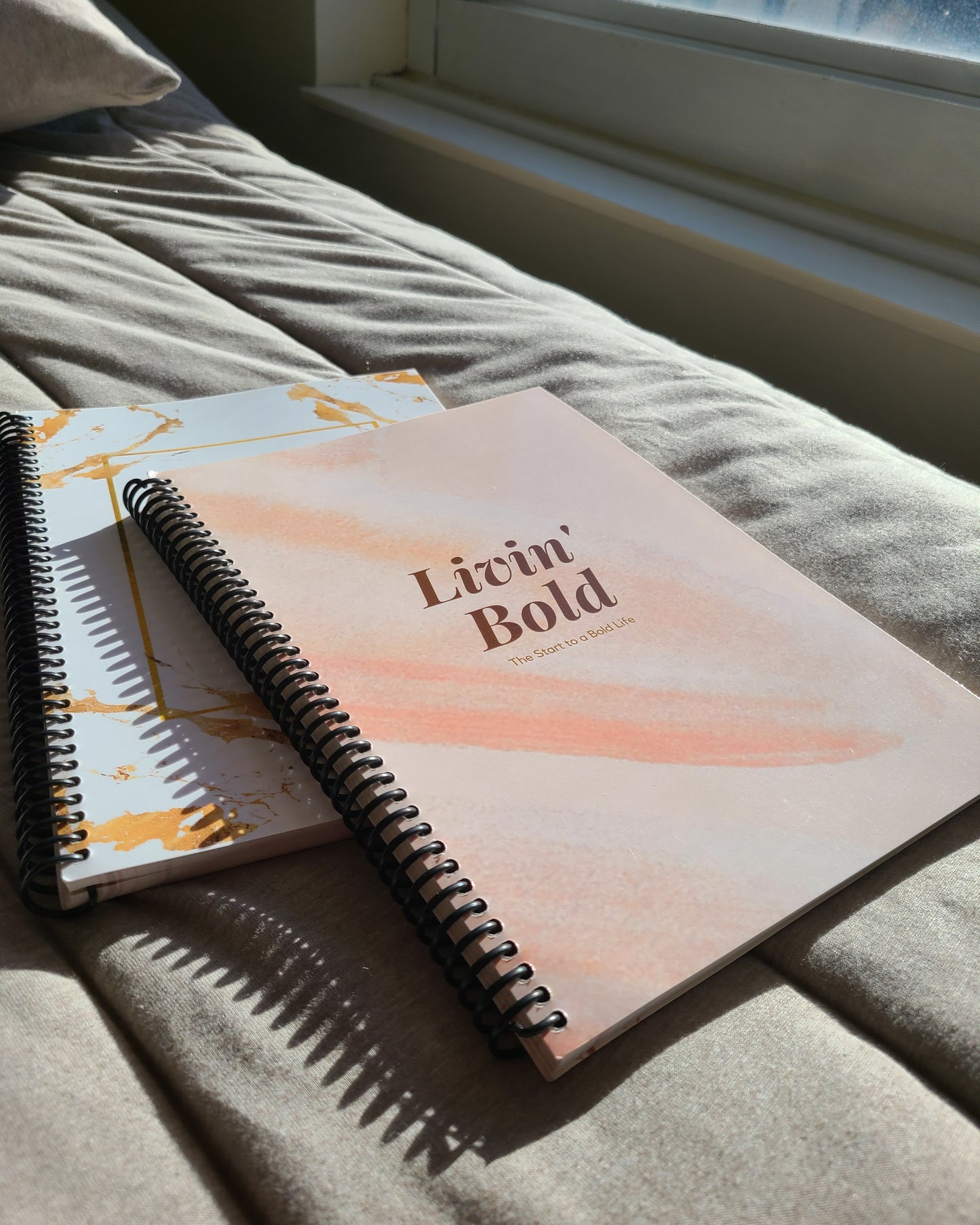 Bold Journey Planner: Regular and Pink Covers